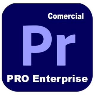 Adobe Premiere Pro - Edition 4 for enterprise - Nuovo abbonamento (1 anno) - 1 …
