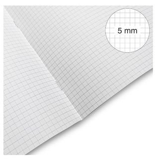 BE MORE CF10MAXIQUAD. A4 100GR R.5MM COLASS