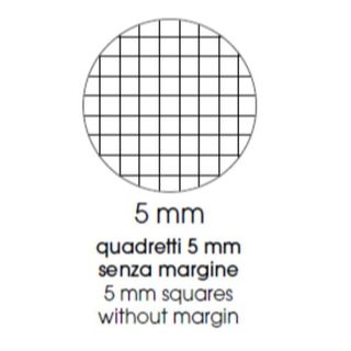 BE MORE FLOR MAXI QUADERNO PUNTO METALLICO 100GR 210X297 mm A4 48 FOGLI A QUADR…