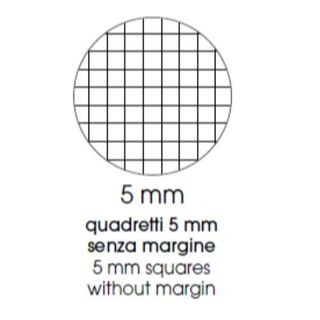 BE MORE MAXI SPIRALATO FLUO QUADERNO 80GR 210X297 mm A4 60 FOGLI A QUADRETTI 5M…