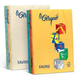 CARTOTECNICA FAVINI LE CIRQUE MIX TENUI FORTI RISMA DA 500 FOGLI 80 GR 21 X 29.…