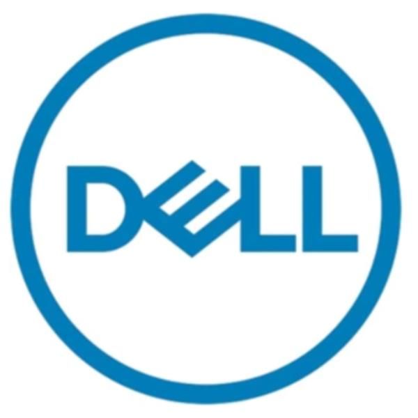 Dell - Custom Kit - SSD - Mixed Use - 800 GB - hot swap - 2.5" - SAS 22.5Gb/s -…