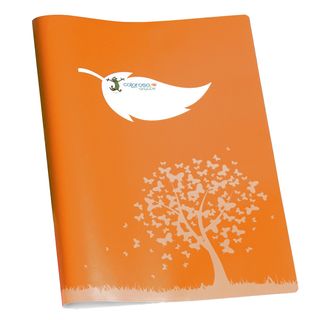 Coprimaxi Green - 21 x 30 cm - carta - 120gr - c/tasche - arancione - Colorosa