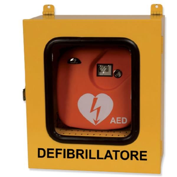 GIMA ARMADIETTO ESTERNO DEFIBR ALLARME