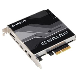 Gigabyte GC-MAPLE RIDGE scheda di interfaccia e adattatore Interno DisplayPort,…