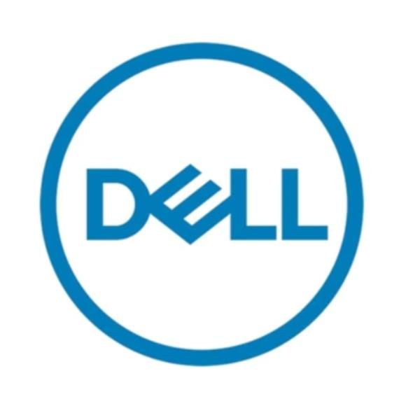 Dell - Kit Cliente - SSD - 240 GB - interno - M.2