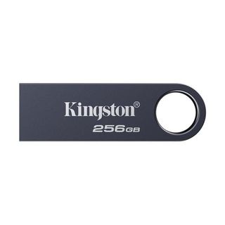 KINGSTON DATATRAVELER SE9 G3 256GB CHIAVETTA USB-A 3.2 Gen 1 (3.1 Gen 1) NICKEL…