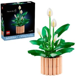 LEGO SPATIFILLO