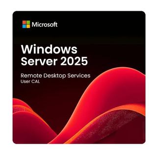 LENOVO WIN SVR 2025 RDS CAL (1 USER)
