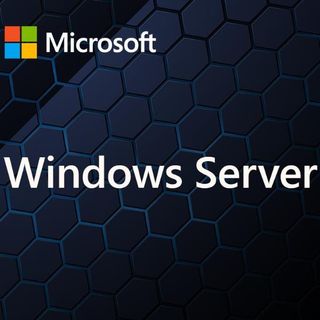 MICROSOFT WINDOWS SERVER CAL 2025 IT 5DEV CAL
