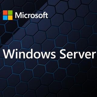 MICROSOFT WINDOWS SERVER CAL 2025 IT 5U CAL