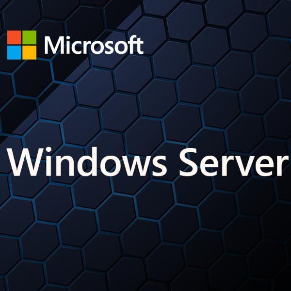 MICROSOFT WINDOWS SERVER CAL 2025IT 1U CAL
