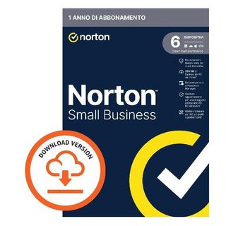 NORTON NSB-250GB 6 DEV 12M ESD