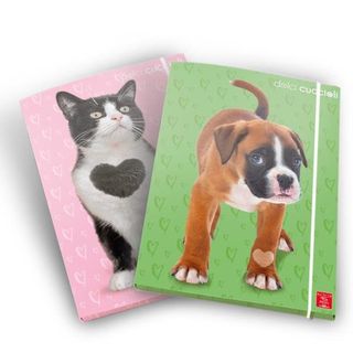 Pigna CARTELLE A 3 LEMBI A4 DORSO 1,3 CM