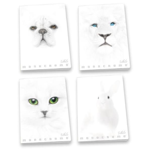 Pigna Monocromo White - Quaderno - graffettato - A4 - 19 fogli - quadrettato - …