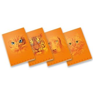 Pigna QUADERNO MONOCROMO ORANGE A4 100GR - 5 MM