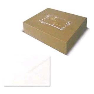 Scatola 100 buste bianche - Bristol - 75 x 112mm - Rex Sadoch