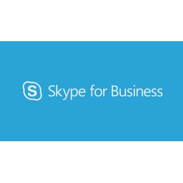 Skype for Business Server Standard 2019 User CAL - Commercial