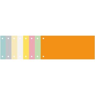 Exacompta Forever - Divisorio - 100 parti - per 105 x 240 mm - orizzontale - ro…