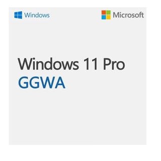 WINDOWS GGWA - WINDOWS 11 PRO - LEGALIZATION GET GENUINE