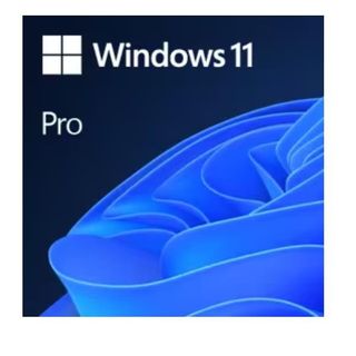 Windows 11 Pro N