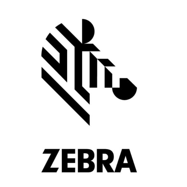 ZEBRA ETICH POLYE 3100T 102X102MM