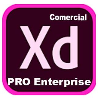 Adobe XD Pro for enterprise - Nuovo abbonamento (1 anno) - 1 utente - GOV - Ado…