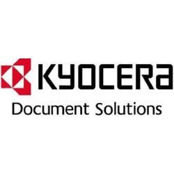 Kyocera - DDR - modulo - 512 MB - DIMM 100-pin - 333 MHz / PC2700 - 2.5 V - sen…