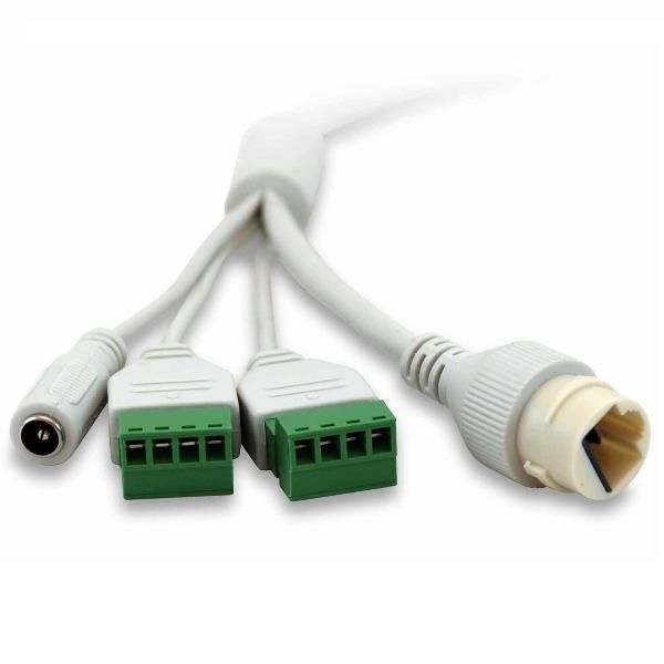 LevelOne GEMINI series FCS-3403 - Telecamera di sorveglianza connessa in rete -…