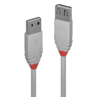 Lindy Anthra Line - Prolunga USB - USB (M) a USB (F) - USB 2.0 - 3 m - di forma…