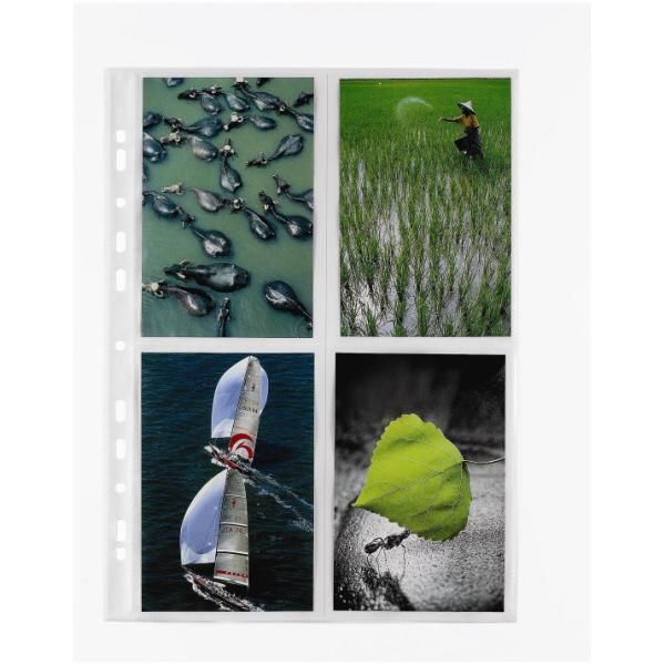 BUSTE PORTAFOTO SPECIAL PP 22 5X31 5 CON DIVISORIO NATURENE (POLIPROPILENE) FOR…