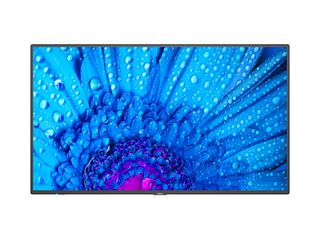 NEC MultiSync m551 - 55" Categoria diagonale M Series Display LCD retroillumina…