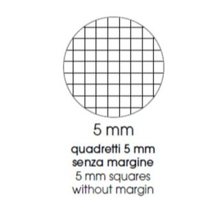 PIGNA CUCCIOLI QUADERNO PUNTO METALLICO 80GR 210X297 mm A4 20 FOGLI A QUADRETTI…