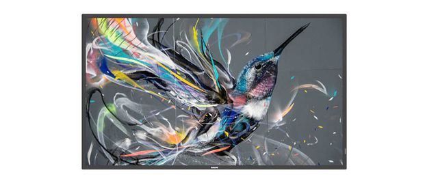Philips 65BDL3511Q - 65" Categoria diagonale (64.5" visualizzabile) - Q-Line Di…