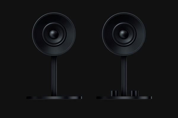 Razer Nommo - Altoparlanti - per PC - canale 2.0