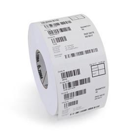 Zebra Z-Perform 1000T - Opaca - adesivo acrilico permanente - bianco - 152.4 x …