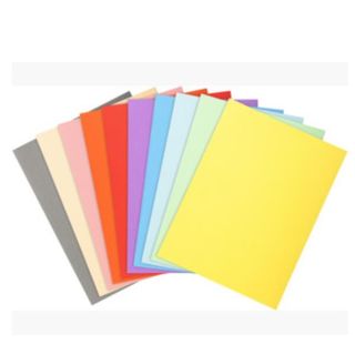 Cartellina semplice Forever - 220 gr - A4 - cartoncino in fibre riciclate - mix…